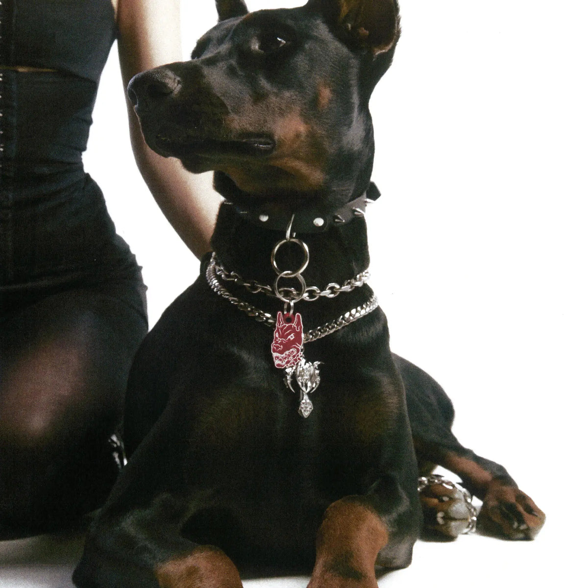 PET TAG - Hard Jewelry™